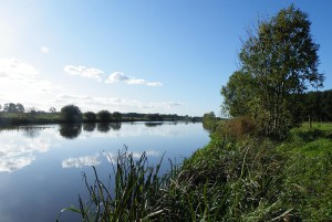 natuurcamping