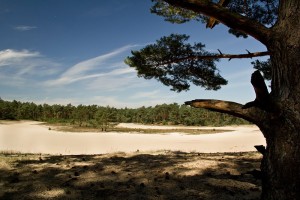 camping ommen anna's hoeve vechtdal