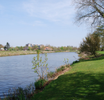 vissen aan de Vecht